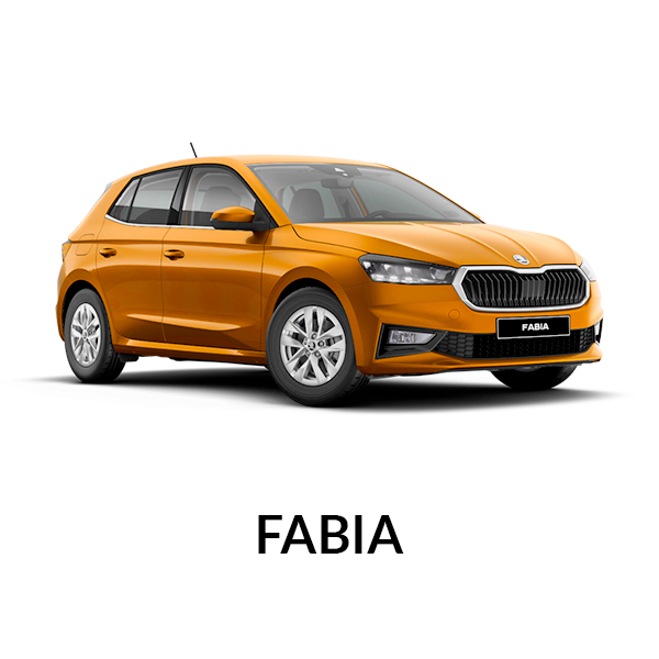 Skoda Fabia Archives • VWMODUL